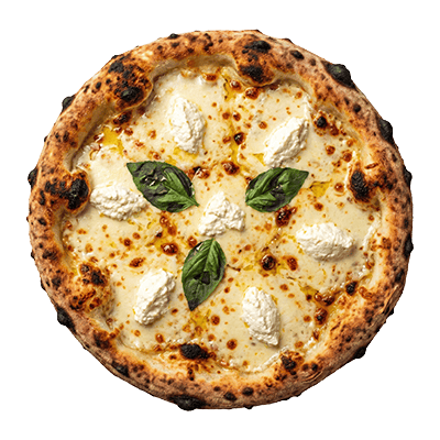 cheese pizza cheese pizza